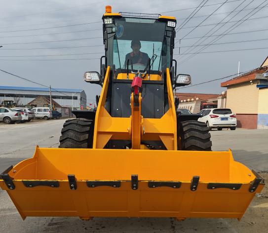 Loader-935 2500kg